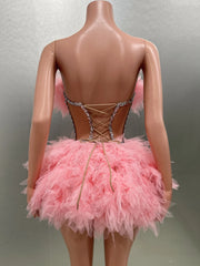 Ball Gown Mini Dress Fashion Closet Clothing