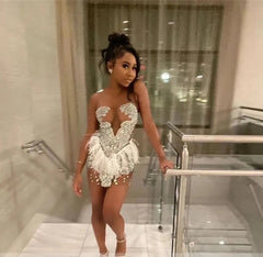 Brenda Mesh Feathers Dress Fashion Closet Clothing