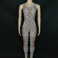 Krystal Mesh Jumpsuit Fashion Closet Clothing