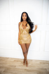 Perfection Mini Dress Fashion Closet Clothing