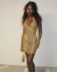 Perfection Mini Dress Fashion Closet Clothing