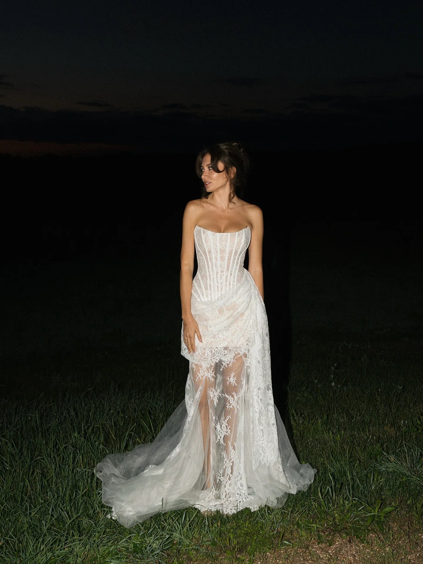 Stephanie Sheer Lace Maxi Dress