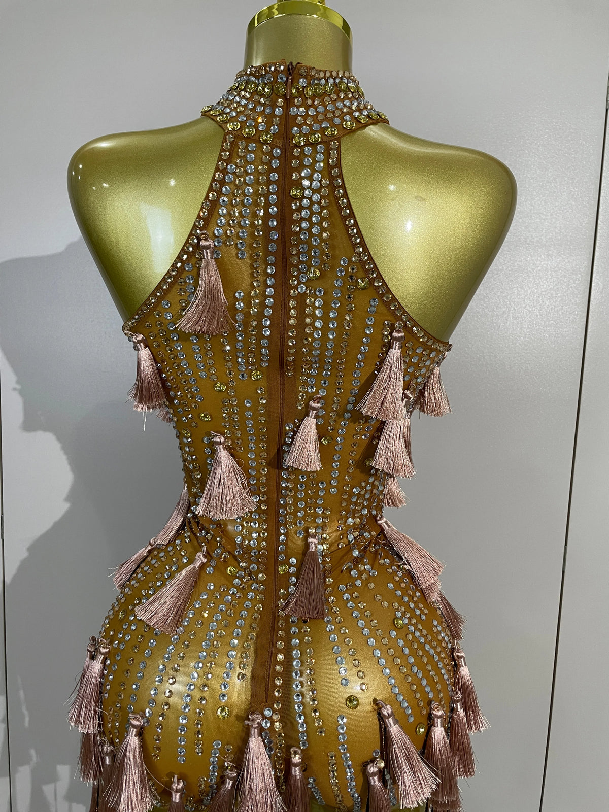 Olanda Mesh Bodysuit Tassel Dress