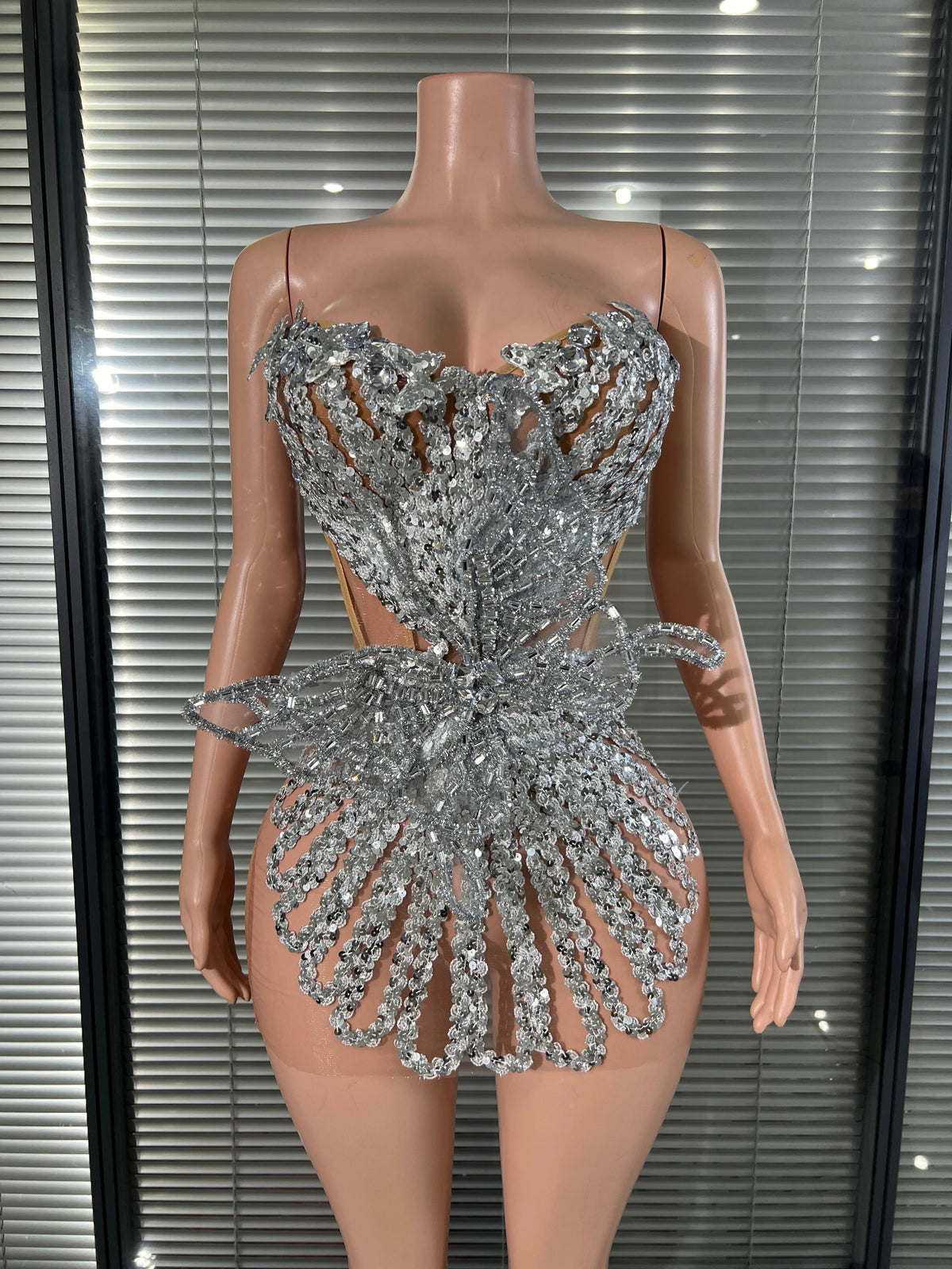 Butterfly Mesh Mini Dress