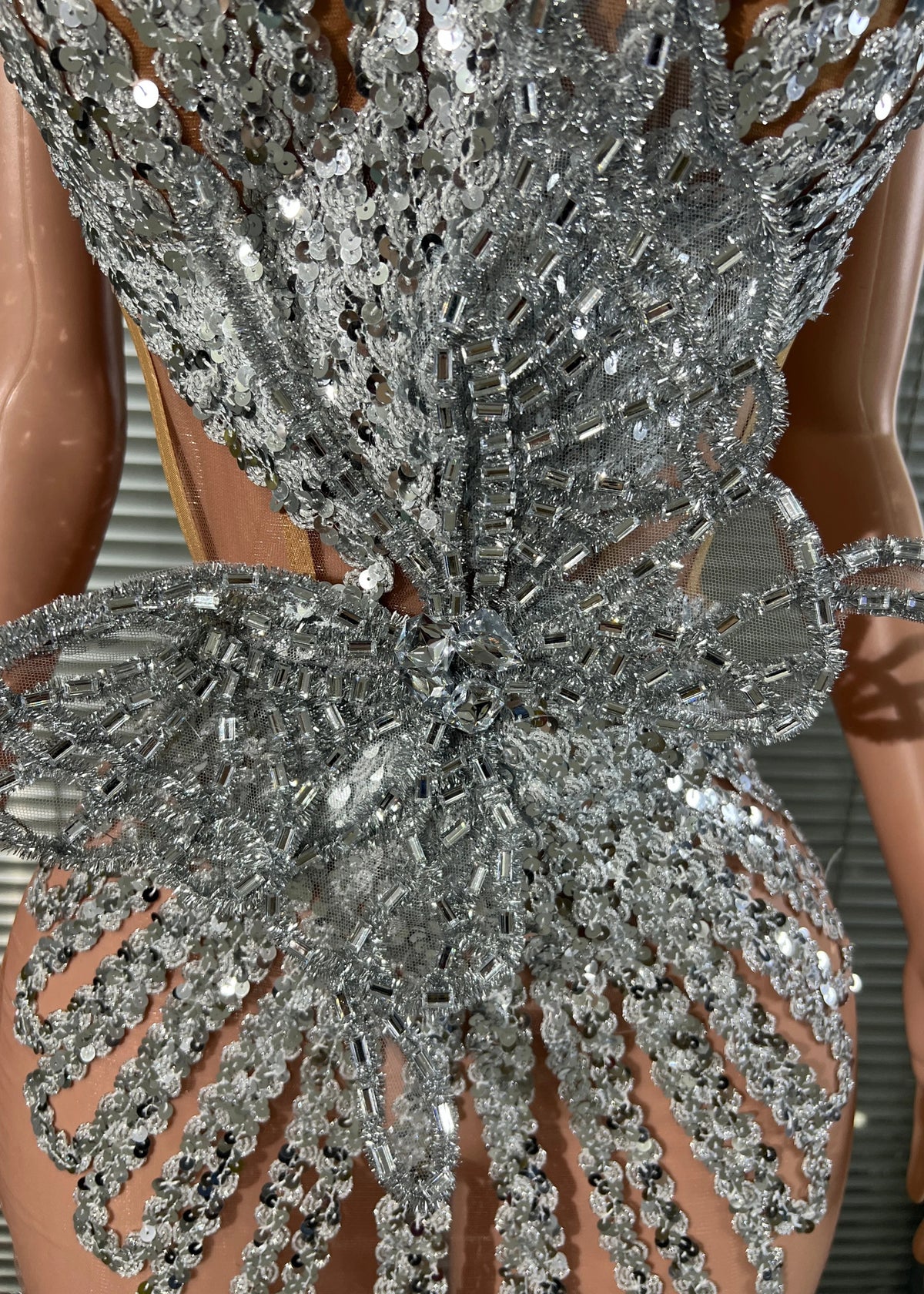 Butterfly Mesh Mini Dress