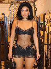 Sania Bodycon Dress Fashion Closet Clothing