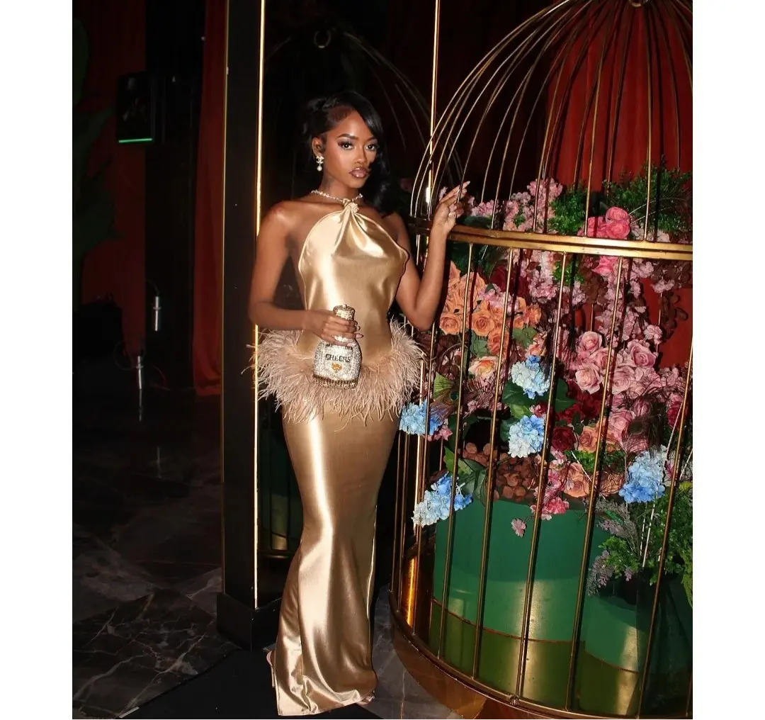 Sansha Satin Silk Feather Dress Fashion Closet Clothing