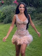 Sparkling Feather Dress