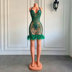 Vanessa Feather Dress Fashion Closet Clothing