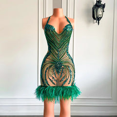 Vanessa Feather Dress Fashion Closet Clothing