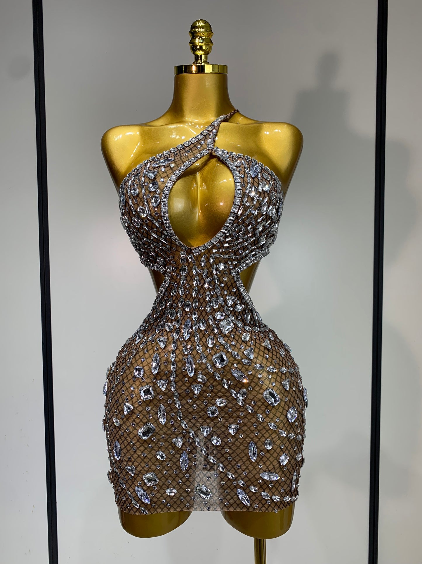 Anaya Mesh Sequins Mini Dress