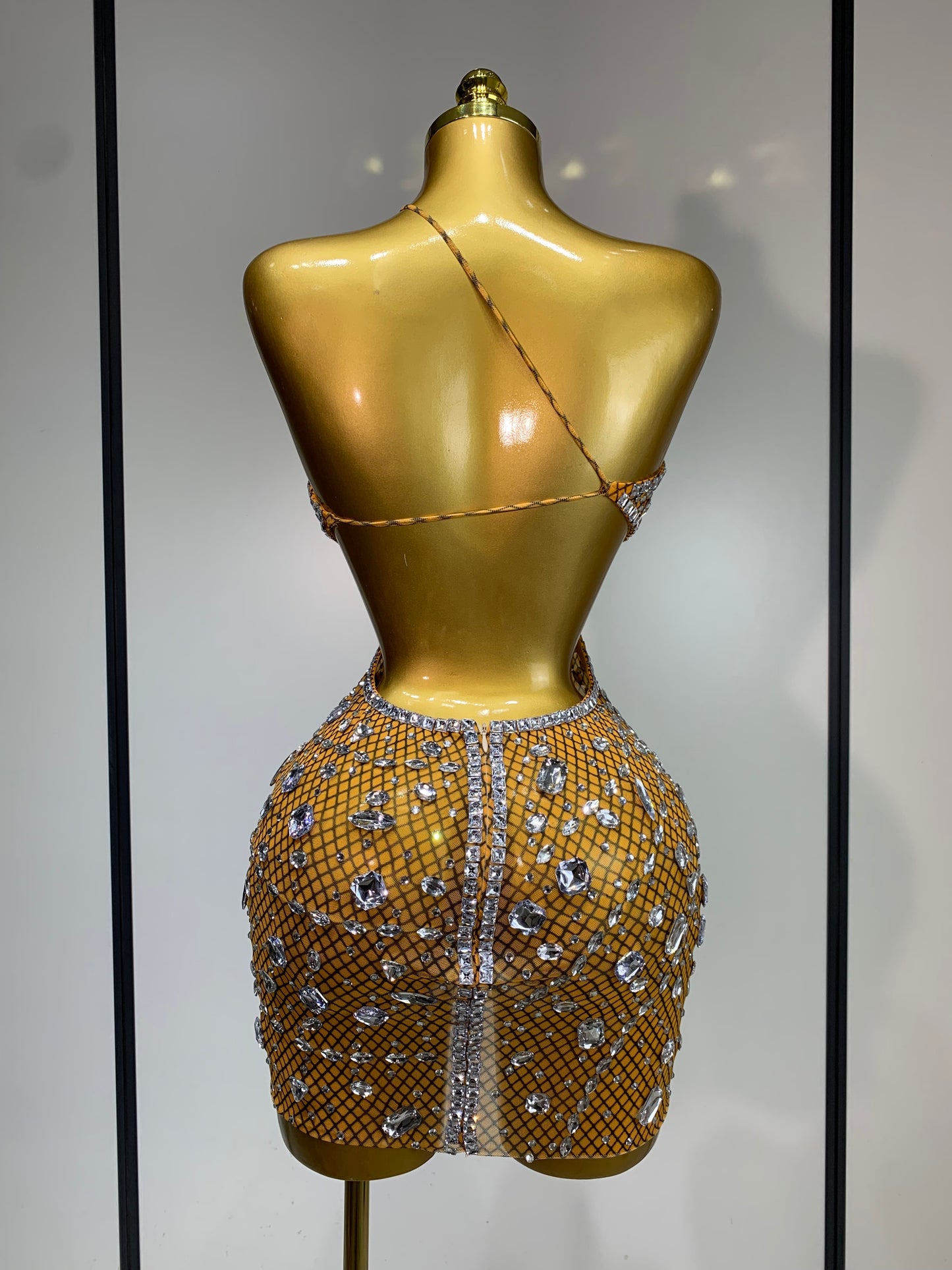 Anaya Mesh Sequins Mini Dress
