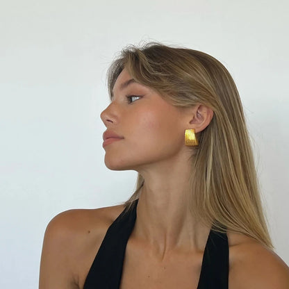 Exquisite Earrings