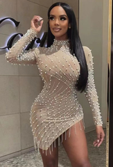 All Luxury Mesh Studded Mini Dress Fashion Closet Clothing