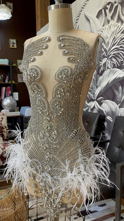 Brenda Mesh Feathers Dress Fashion Closet Clothing