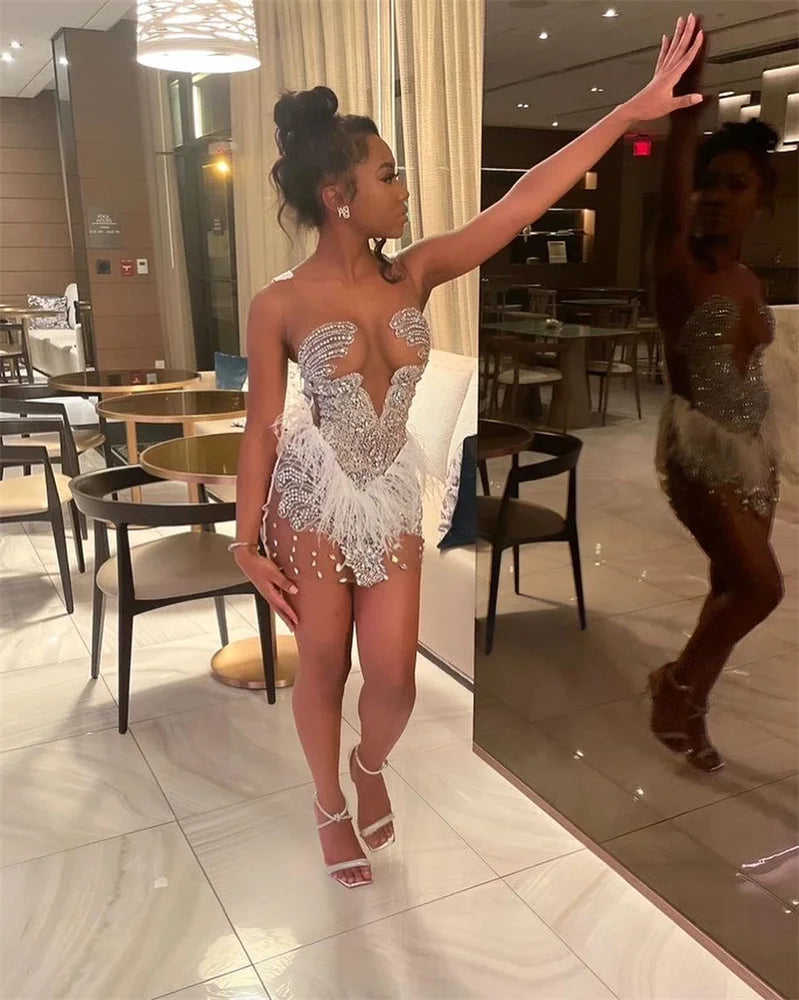 Brenda Mesh Feathers Dress Fashion Closet Clothing