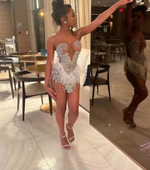 Brenda Mesh Feathers Dress Fashion Closet Clothing