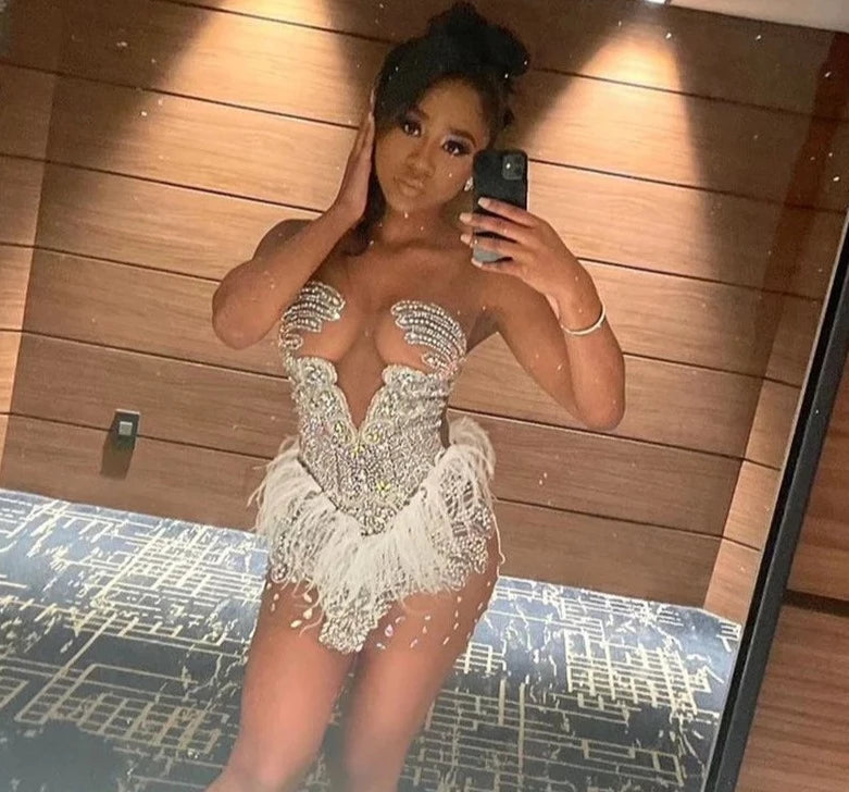 Brenda Mesh Feathers Dress Fashion Closet Clothing