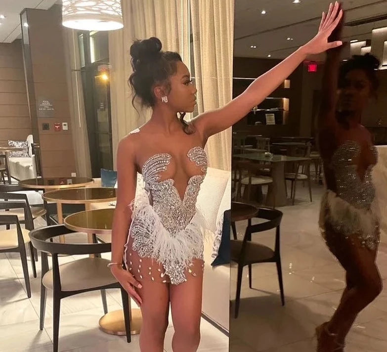 Brenda Mesh Feathers Dress Fashion Closet Clothing