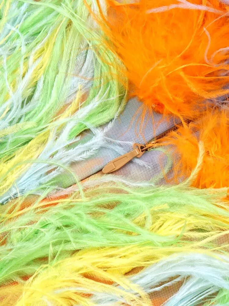 Colorful Feathers Mini Dress Fashion Closet Clothing