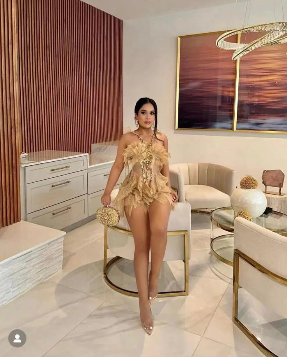 Crystal Swan Mini Dress Fashion Closet Clothing