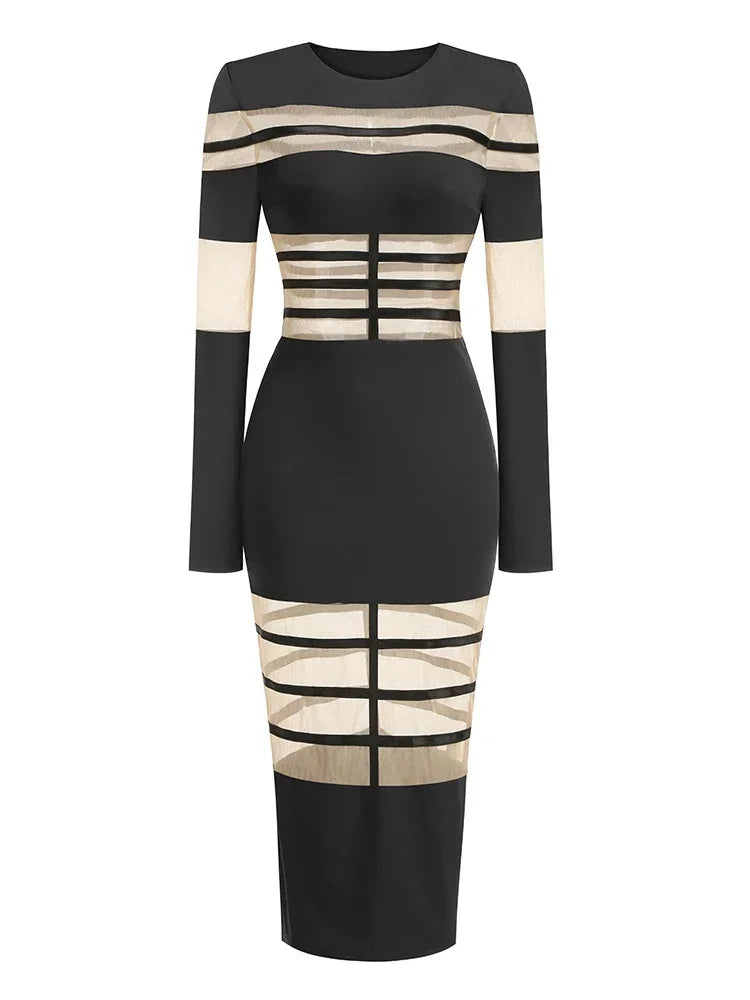 Daisy Mesh Bodycon Dress Fashion Closet Clothing