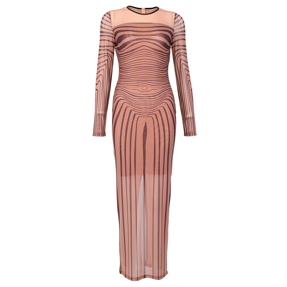 Debbie Sheer Mesh Maxi Dress Fashion Closet Clothing