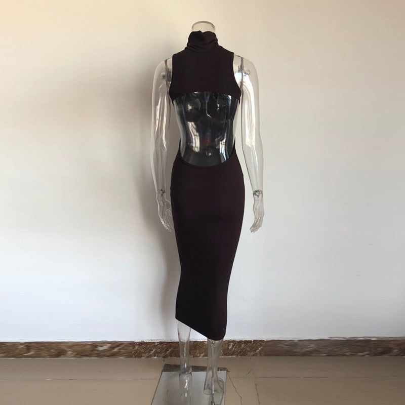 Felisha Bodycon Dress Fashion Closet Clothing