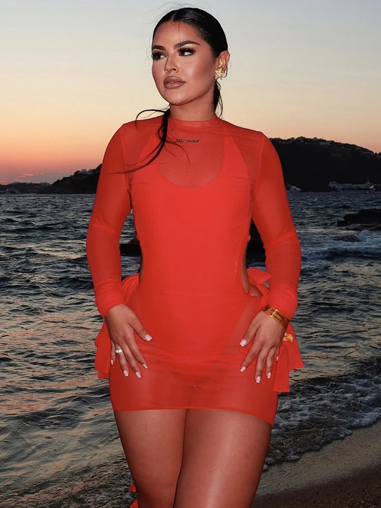 Kassidy Mesh Mini Dress Fashion Closet Clothing