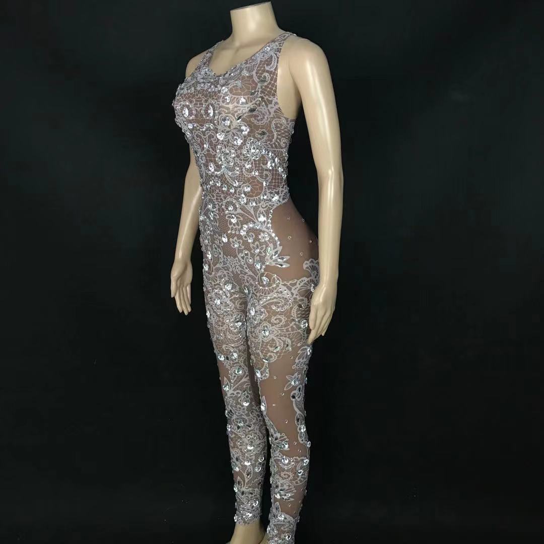 Krystal Mesh Jumpsuit Fashion Closet Clothing