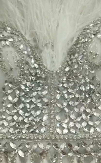 Luxury Crystal Feather Dress Fashion Closet Clothing