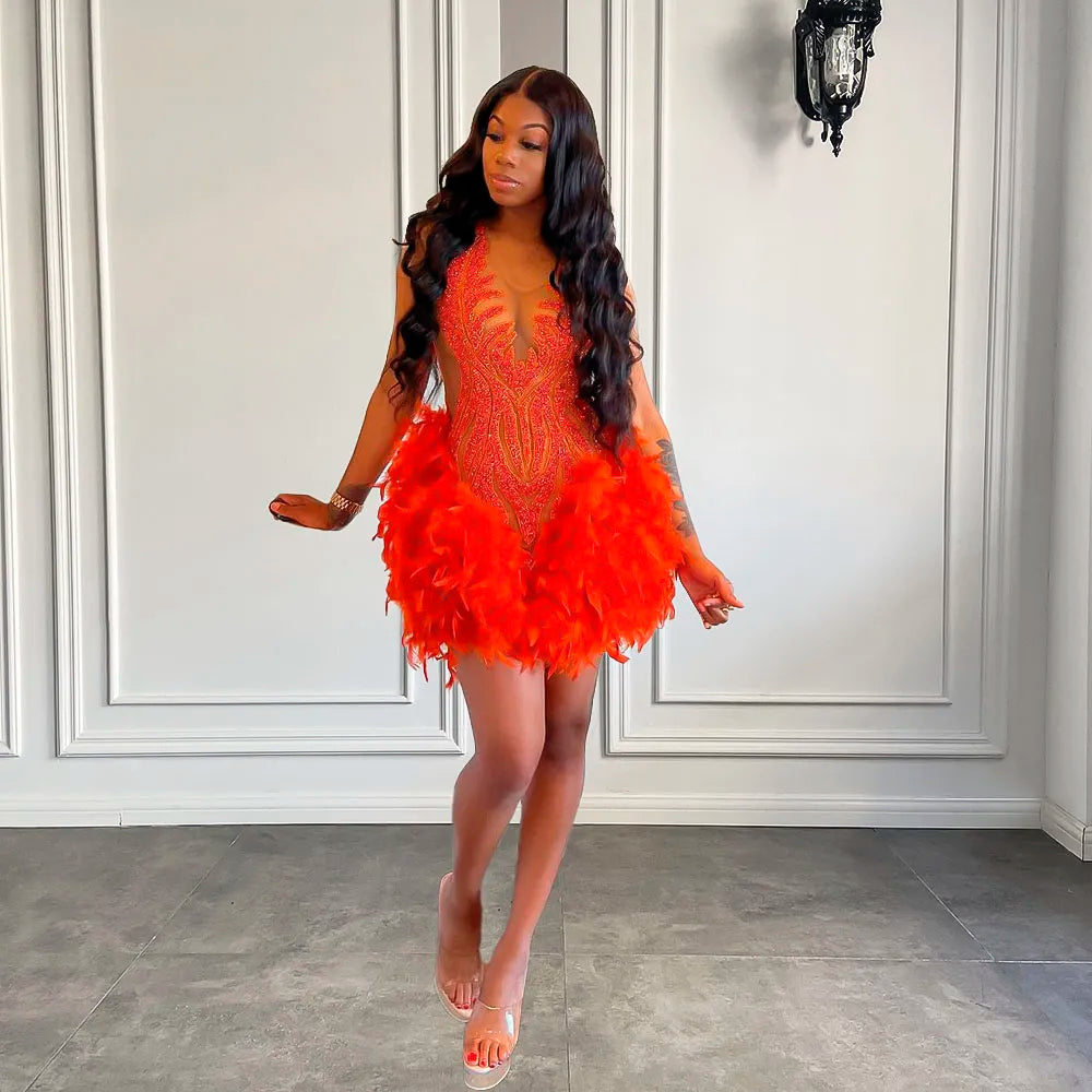 Luxury Sheer Cocktail Feather Dress Fashion Closet Clothing