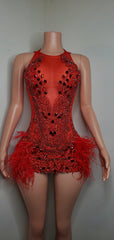 Luxury Sheer Crystal Feather Mini Dress Fashion Closet Clothing