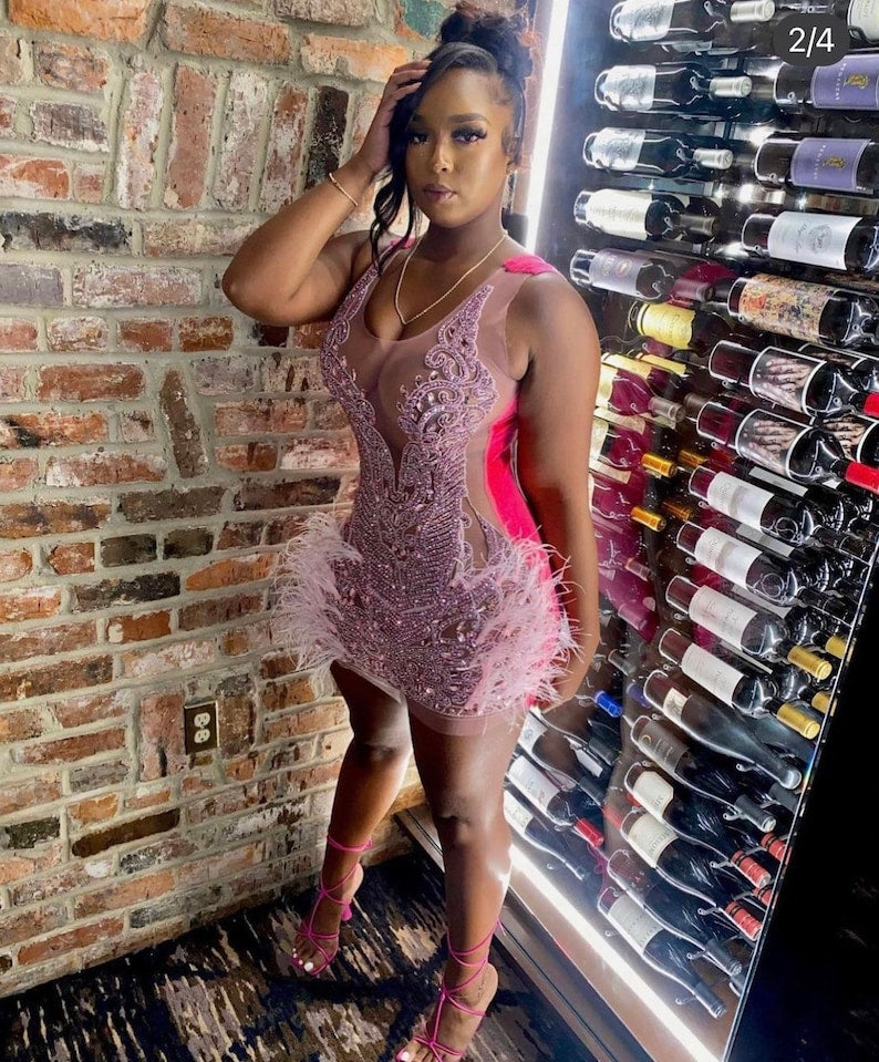 Luxury Sheer Crystal Feather Mini Dress Fashion Closet Clothing