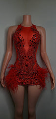 Luxury Sheer Crystal Feather Mini Dress Fashion Closet Clothing