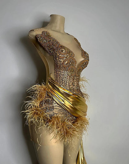 Miranda Feather Dress Fashion Closet Clothing
