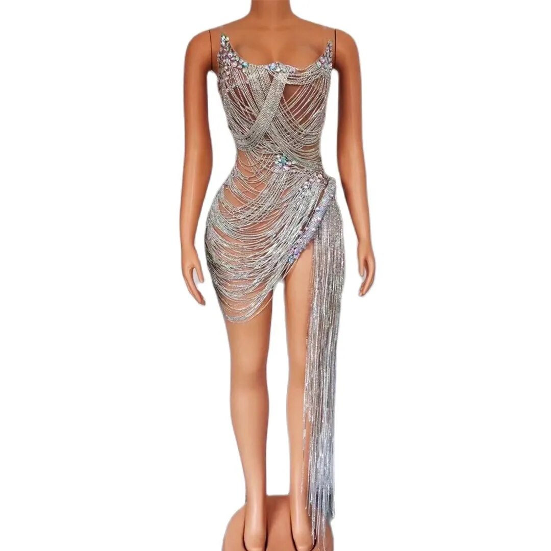Ms. Bling Fringe Mesh Dress Fashion Closet Clothing