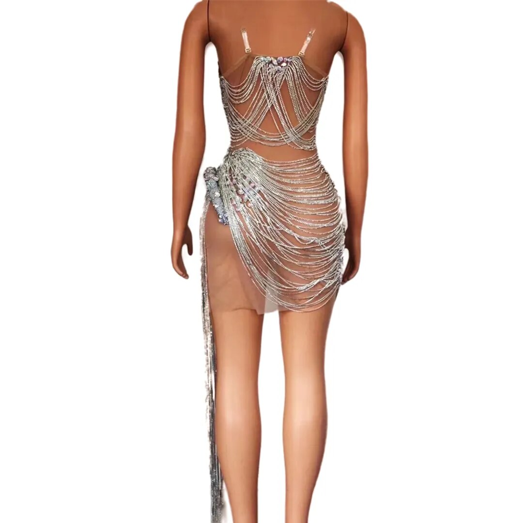 Ms. Bling Fringe Mesh Dress Fashion Closet Clothing