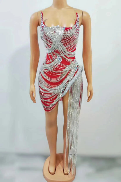 Ms. Bling Fringe Mesh Dress Fashion Closet Clothing