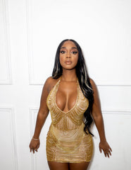 Perfection Mini Dress Fashion Closet Clothing