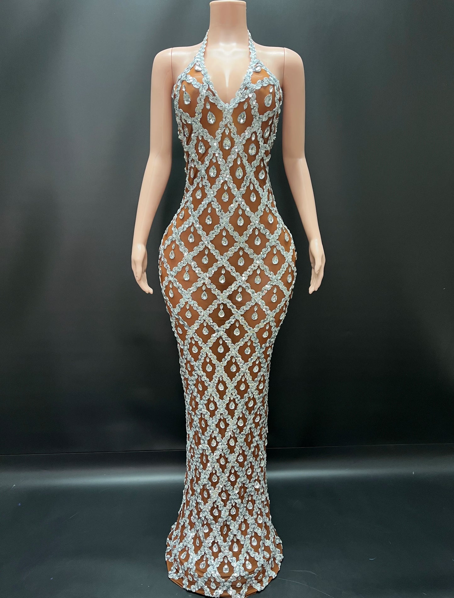 Abi Rhinestone Mesh Maxi Dress
