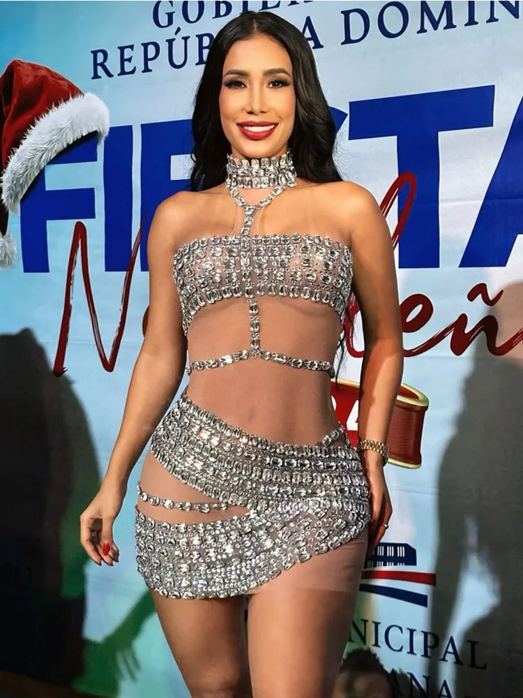 Alissa Mesh Mini Dress