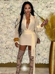 Amelia Sheer Shirt Mini Dress