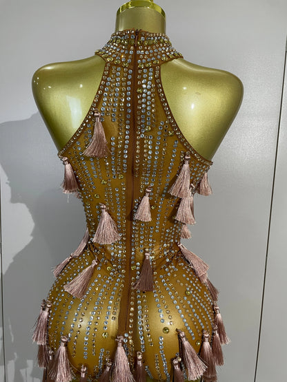 Olanda Mesh Bodysuit Tassel Dress