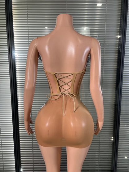 Wing Mesh Mini Dress