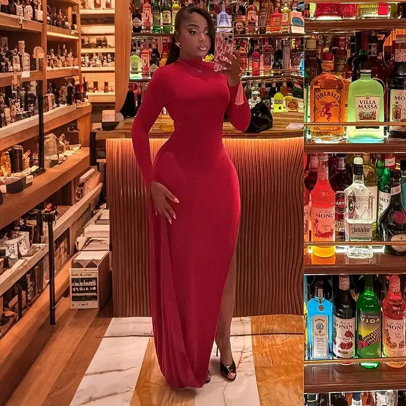 Linsey Turtleneck Maxi Dress