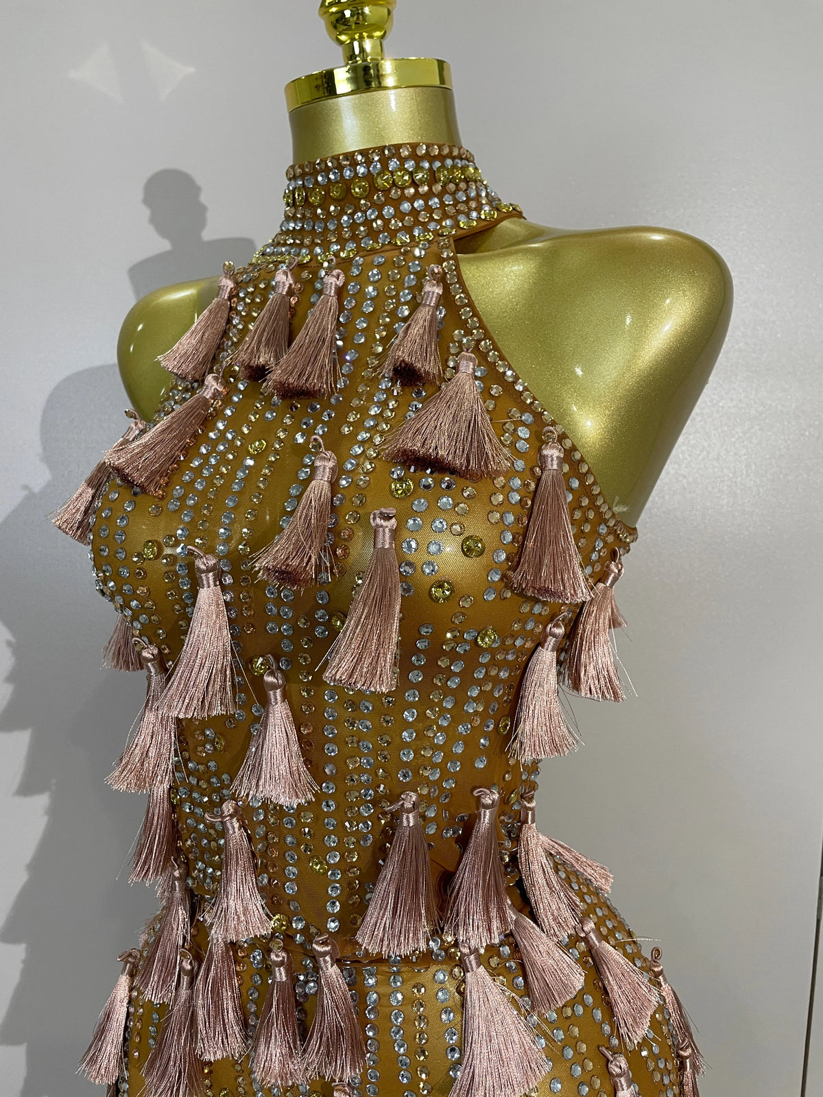 Olanda Mesh Bodysuit Tassel Dress