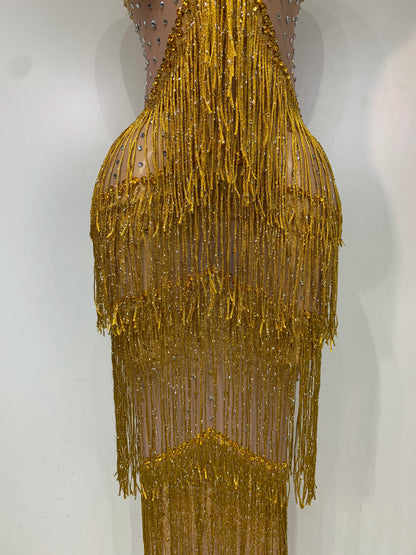 Maxine Tassel Mesh Maxi Dress