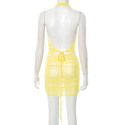 Michella Sheer Pleated Mini Dress
