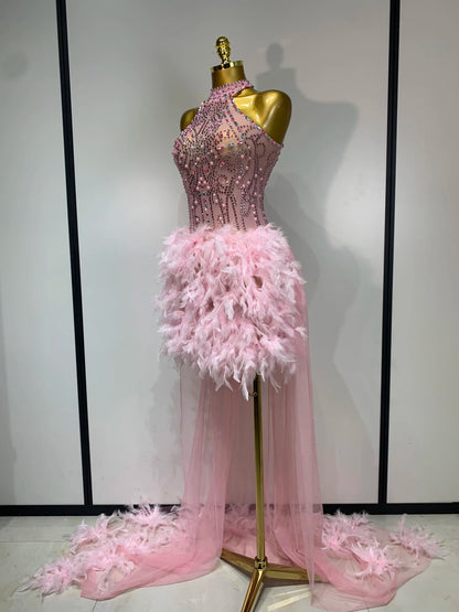Pink Feather Mesh Maxi Dress